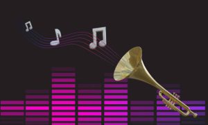 طراحی سایت خواننده